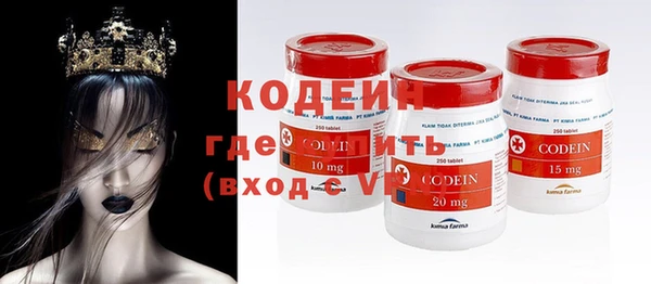 стаф Осинники
