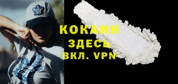 молекула духа Белокуриха