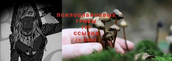 не бодяженный Беломорск