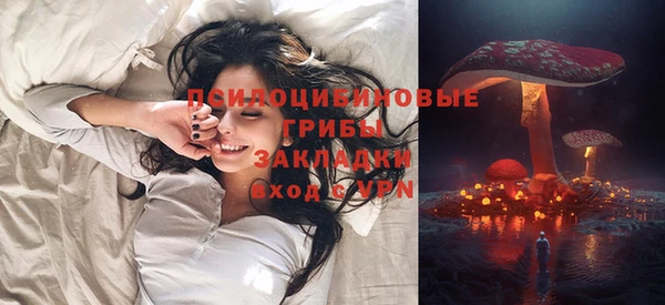 стаф Осинники