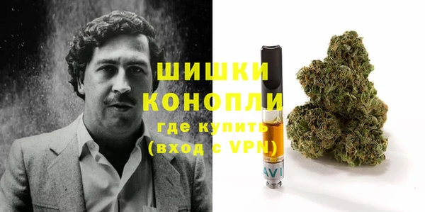 молекула духа Белокуриха