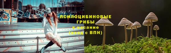 не бодяженный Беломорск