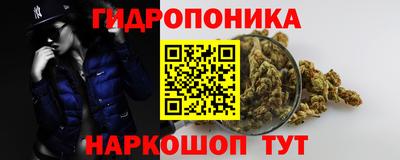 кокс Кунгур