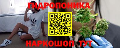 сатива Кумертау