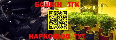 гашик Ликино-Дулёво