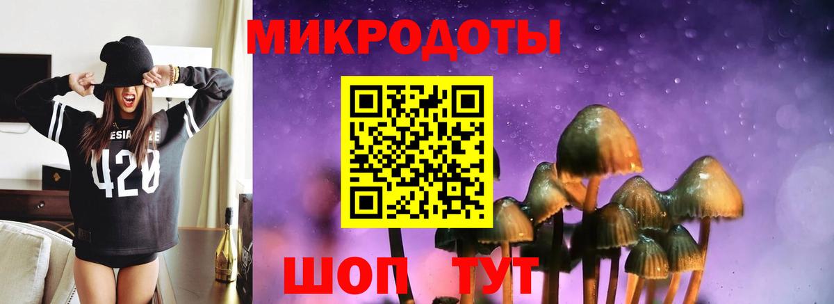 Галлюциногенные грибы прущие грибы Саяногорск